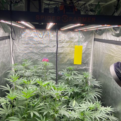 Moweeto growlog timeline photo