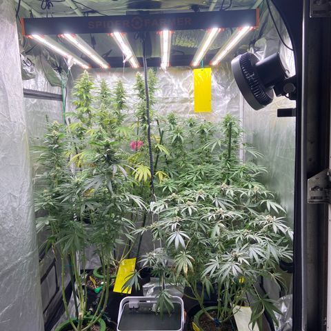 Moweeto growlog timeline photo