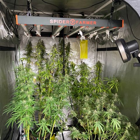 Moweeto growlog timeline photo