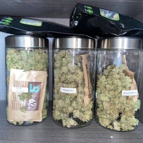 Moweeto growlog timeline photo