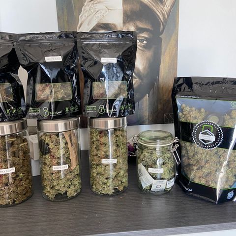 Blueberry Pancake growlog timeline photo