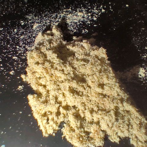 Strawberry cough 2# growlog timeline photo