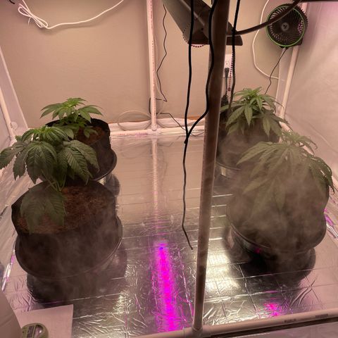 Slurpicane growlog photo: The girls may need water soon. 