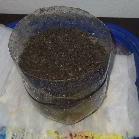 Mike 1 growlog photo: Sembrado de Mike 1