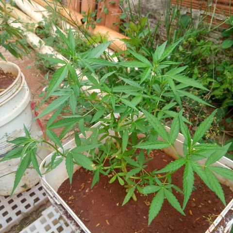 Sbk 4 growlog timeline photo