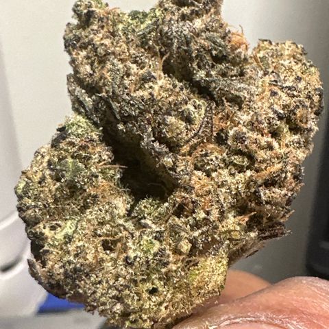 Gorrila nut #9 growlog timeline photo