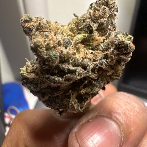 Gorrila nut #9 growlog timeline photo