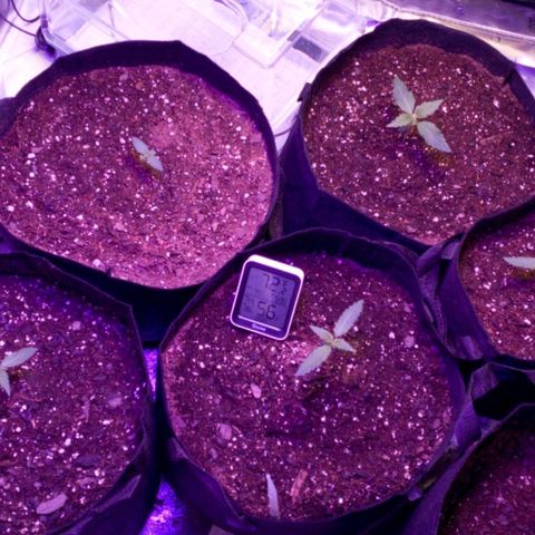 GSCE 4 Righty growlog timeline photo