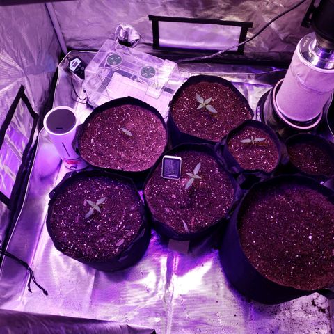 GSCE 4 Righty growlog timeline photo