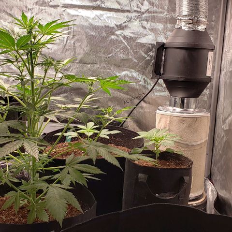 GSCE 5 Stumpy far Left growlog timeline photo