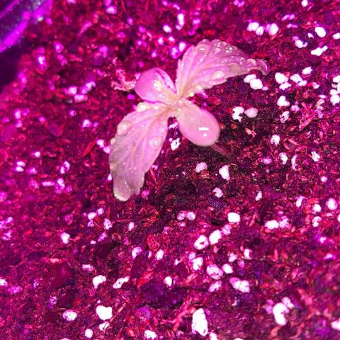 Moby 1 growlog timeline photo