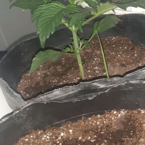 Moby 1 growlog photo: La moby viee muy bien