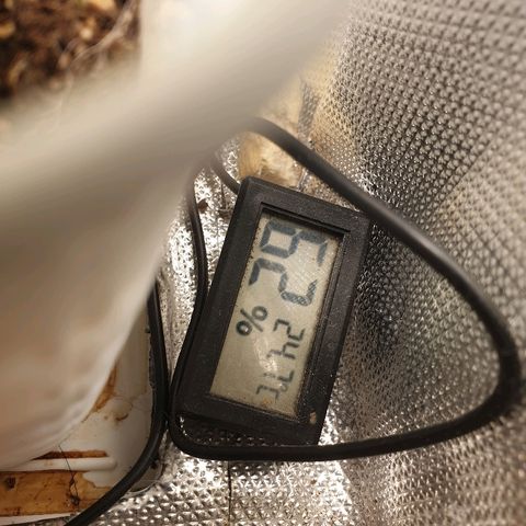 Delta 9 growlog timeline photo