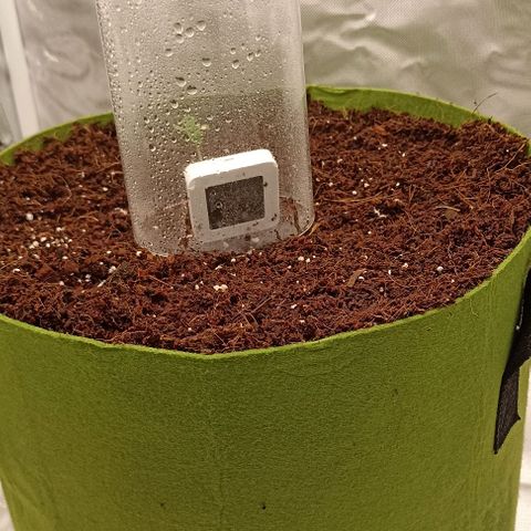 Strawberry Pie Auto growlog timeline photo