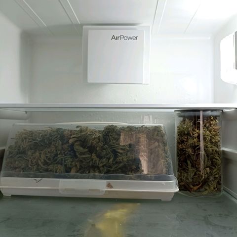 Strawberry Pie Auto growlog timeline photo