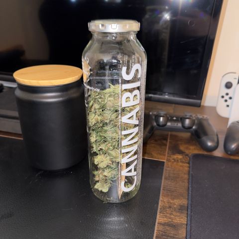 White Widow Automatic #1 growlog timeline photo