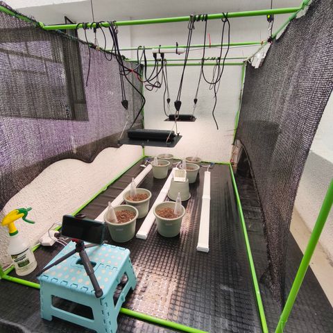 Gelato  growlog photo: Tercer día de acoplamiento exterior 