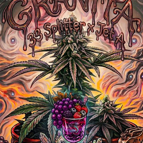 Granita growlog timeline photo
