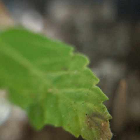 JaneGrande growlog timeline photo