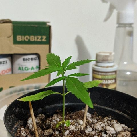 JaneGrande growlog timeline photo