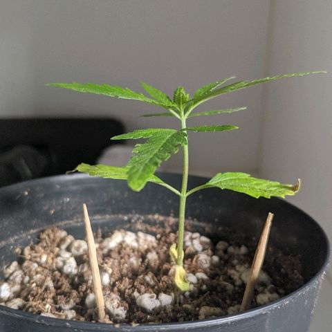JaneGrande growlog photo: Tarde 