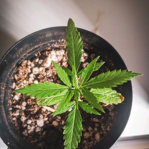 JaneGrande growlog photo: Tarde 