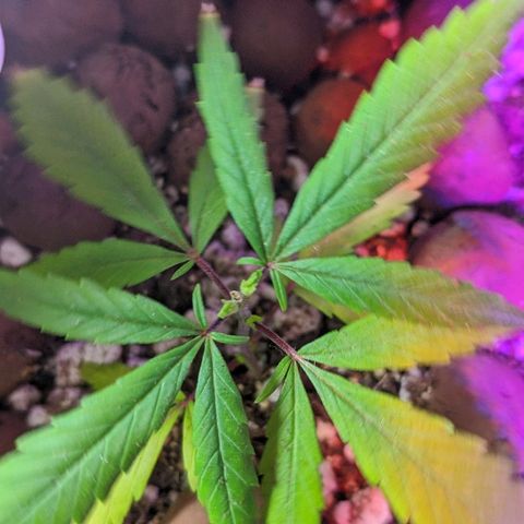 JaneGrande growlog timeline photo