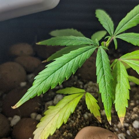 JaneGrande growlog timeline photo