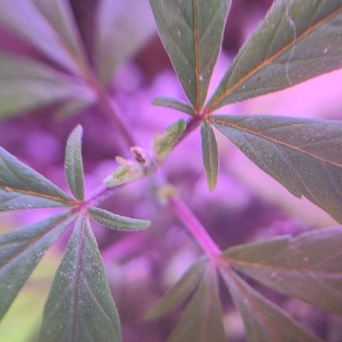 JaneGrande growlog timeline photo