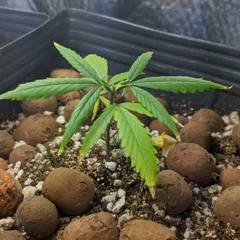 JaneGrande growlog timeline photo