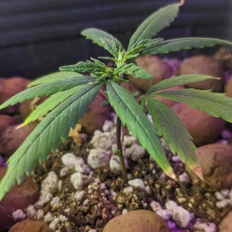 JaneGrande growlog timeline photo