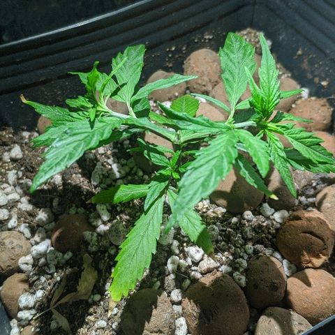 JaneGrande growlog timeline photo