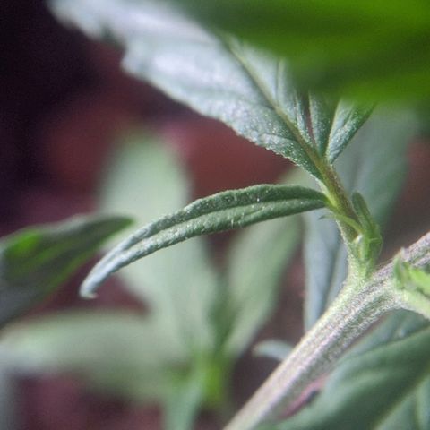 JaneGrande growlog timeline photo
