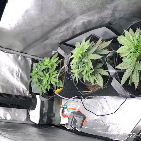 Bruce Banner Auto growlog photo: Waze pic while away from home