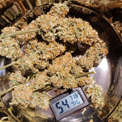 Bruce Banner Auto growlog timeline photo