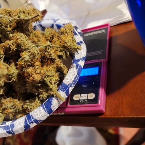 Bruce Banner Auto growlog timeline photo