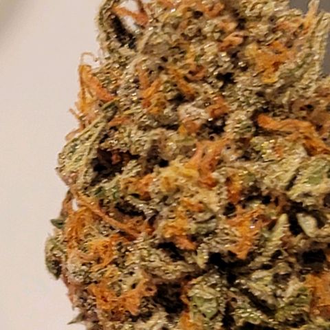 Bruce Banner Auto growlog timeline photo