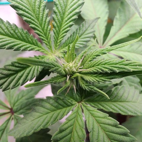 24k 2 growlog timeline photo