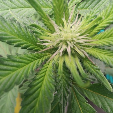 24k 2 growlog timeline photo