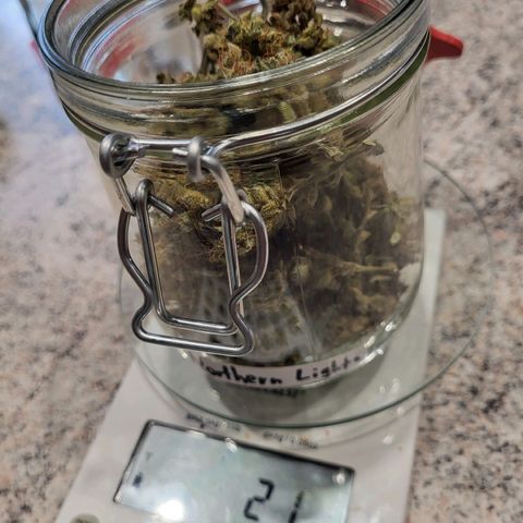 Northern Lights Automatic #1 growlog photo: Einlagerung in Glas
Ertrag: 21 Gramm