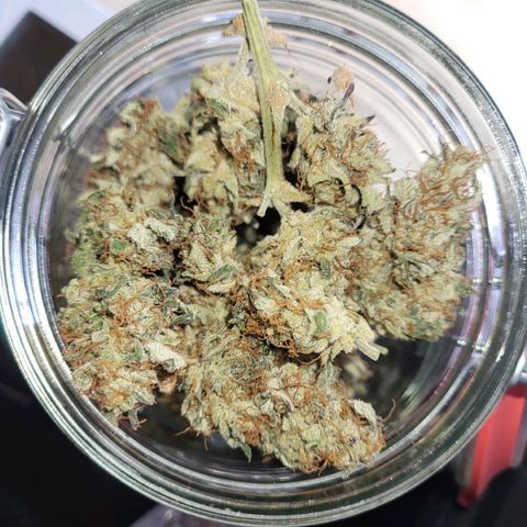 Tangerine Dream Automatic #1 growlog photo: Einlagerung in Glas
Ertrag: 37 Gramm