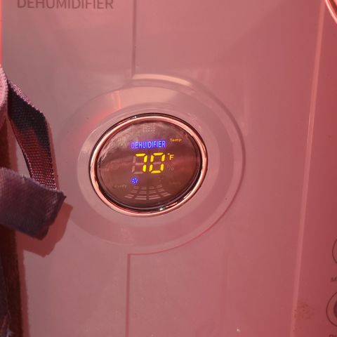 Ethereal T growlog photo: 10 pm
RH 45%
70° F