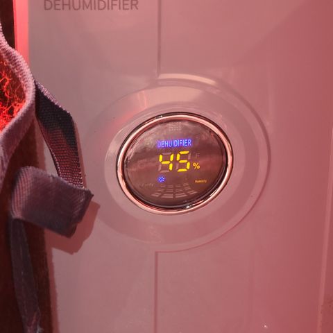 Ethereal T growlog photo: 10 pm
RH 45%
70° F