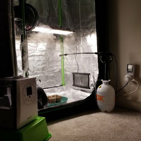 Blue Dream Auto #4 growlog photo: Grow Lab completely operational just missing inline fan from ac infinity. Tent still open. Pretty happy overall