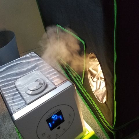 Blue Dream Auto #4 growlog timeline photo