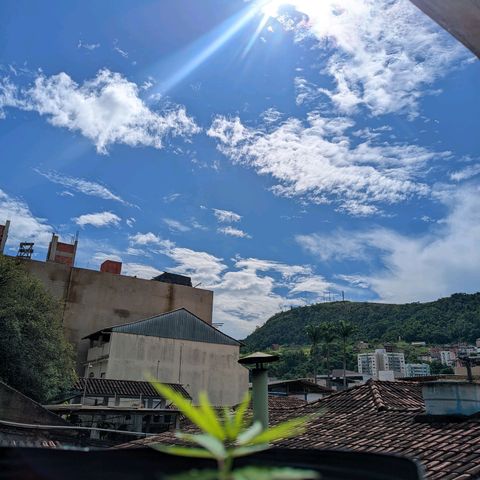 Prenseed ( Artemis) 🍊🍋🍬 growlog photo: Até que enfim o sol voltou direito 