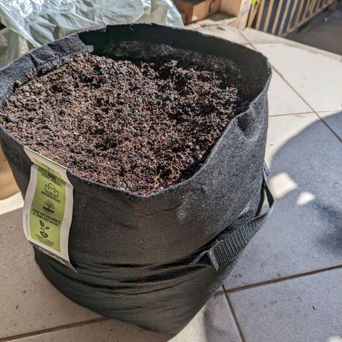 Banana Purple Punch Auto growlog timeline photo