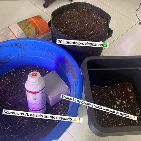 4ª - Purple Kush - Foto - DentistaSeeds  growlog photo: Preparei uma mistura de solo hoje visando o descanso de 10 dias após a rega mais ou menos, tendo em vista que a ( N1ª - Zombie Kush Auto ) irá flipar pra flora por volta dessa data 🙌🏼
👇🏼Receita a baixo:👇🏼

_*SOLO*_

*BASE INERTE:*
• 25L Carolina Soil + 3L Perlita

*INSUMOS:*
• ⁠500g Gesso Agrícola ✅
• ⁠800g Calcário Dolomítico✅
• ⁠2L / 1,5kg carvão com turfa ✅
• ⁠fósforo (Math 5) ❌
• ⁠1Kg Pó de rocha ✅
• 150g torta de neem ❌
• ⁠2kg Bokashi Farelado✅
• ⁠2kg Húmus de minhoca ✅