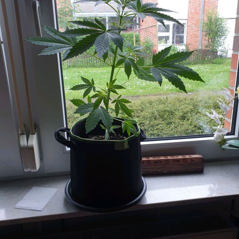 Die Andere growlog timeline photo