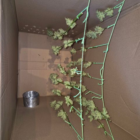 Die Andere growlog timeline photo